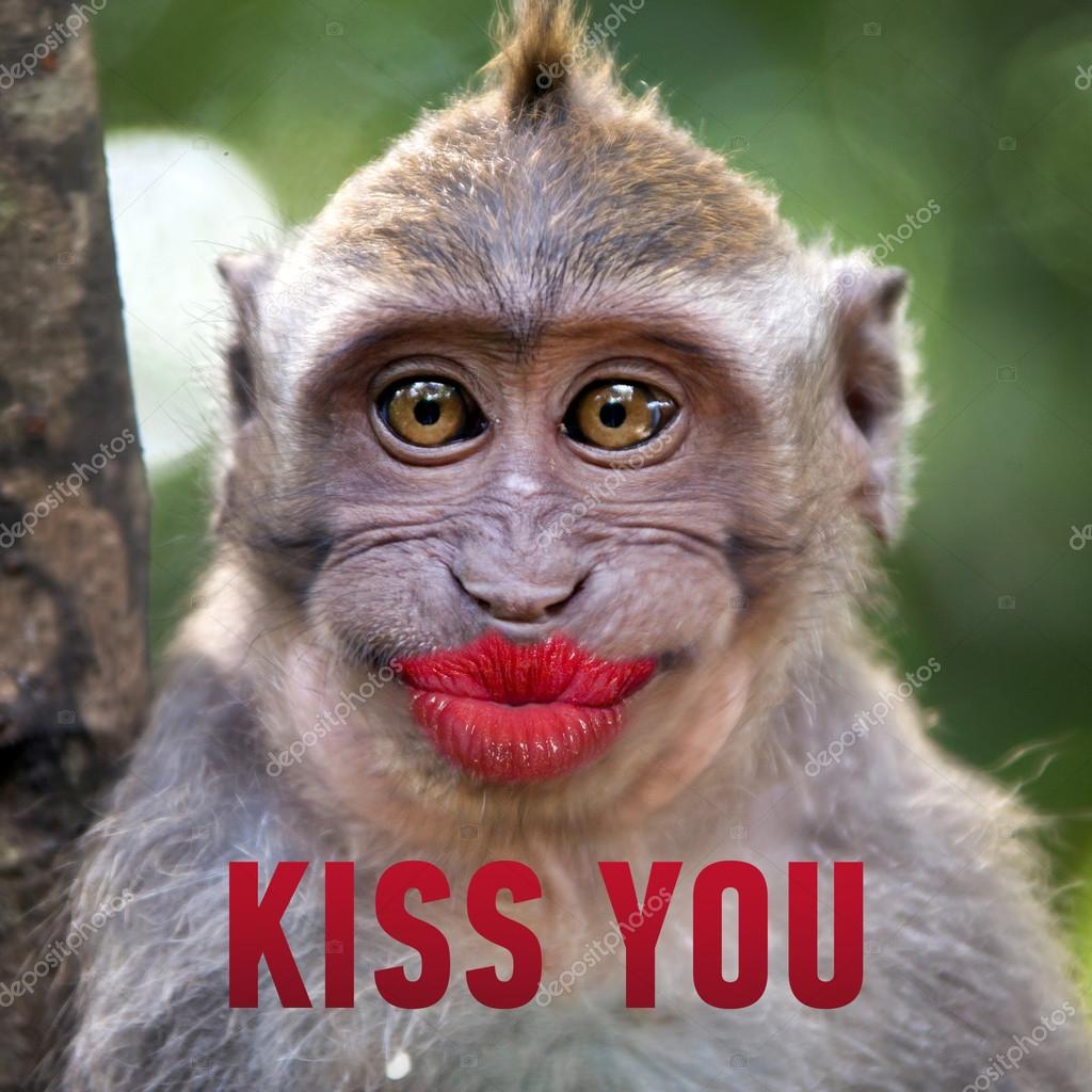 Meme Hayoo Lagi Buka Apa?